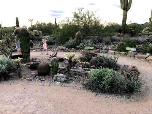 Nature Preserve «Gateway Trailhead - McDowell Sonoran Preserve», reviews and photos, 18333 N Thompson Peak Pkwy, Scottsdale, AZ 85255, USA