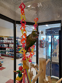 Petco - Photo 5 - Car repair in Greece, NY, Rochester