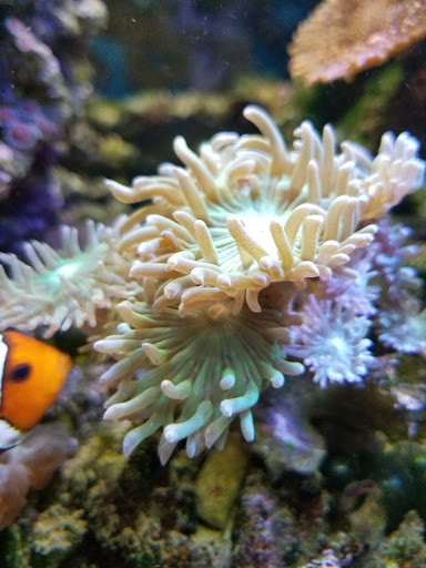 Pet Store «Art In Motion Pets», reviews and photos, 1893 S Western Ave, Marion, IN 46953, USA