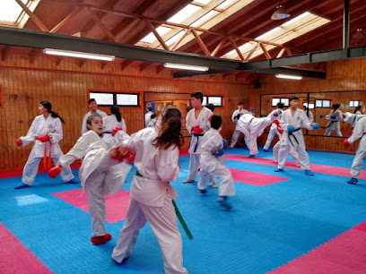 Escuela de karate Kenshokan Pto Montt