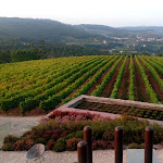 Photo n°3 de l'avis de Gaspard.e fait le 30/08/2018 à 18:56 sur le  Hotel Monverde à Telões