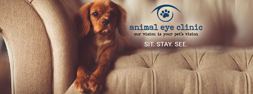 Animal Eye Clinic image