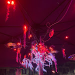 Photo n°1 de l'avis de cristina.t fait le 19/01/2022 à 11:08 sur le  Il cappellaio matto à Milan