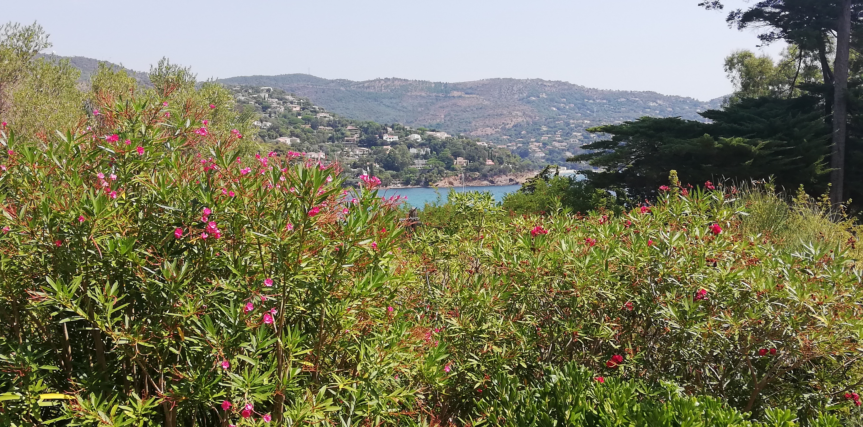Photo n° 18 de l'avis de manu624000. fait le 05/08/2019 à 12:10