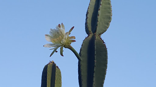 Animal Feed Store «Farm City Inc», reviews and photos, 440 S Park Ave, Apopka, FL 32703, USA