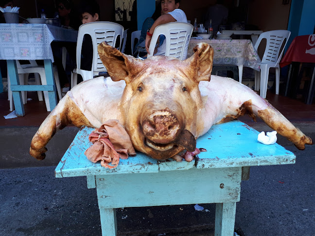 Opiniones de Paradero comidas tipicas en Pallatanga - Restaurante