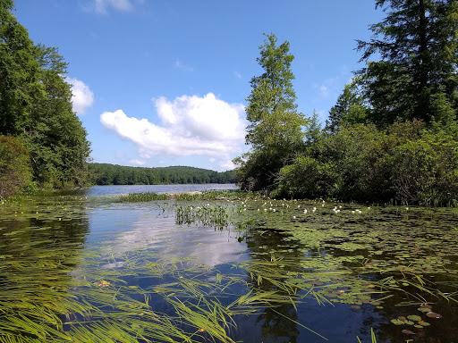 Canoe & Kayak Tour Agency «Main Stream Canoes & Kayaks/ SUP /OutDoor Z llc», reviews and photos, 170 Main St, New Hartford, CT 06057, USA