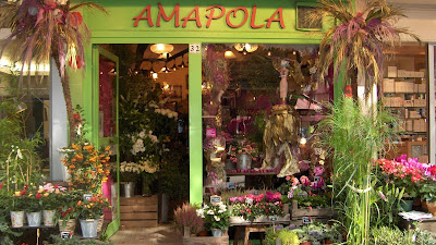 Amapola Fleuriste à Paris