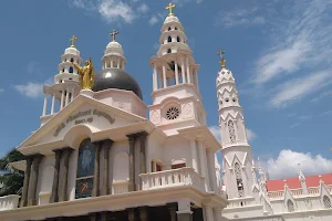 St. Xavier's Cathedral image