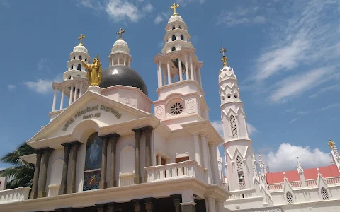 St. Xavier's Cathedral image