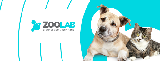 Zoolab - Veterinary Diagnostic Center em Santo André - SP