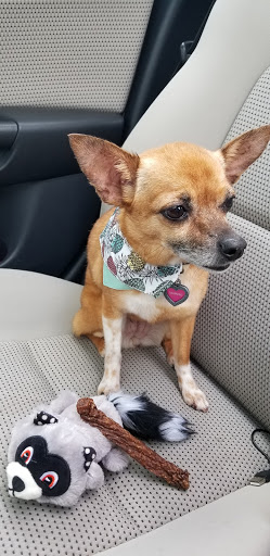 Pet Supply Store «PetSmart», reviews and photos, 467 Cross Keys Rd, Sicklerville, NJ 08081, USA