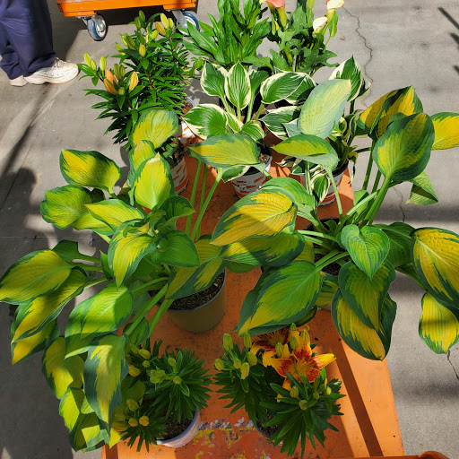 Home Improvement Store «The Home Depot», reviews and photos, 2630 Wilma Rudolph Blvd, Clarksville, TN 37040, USA