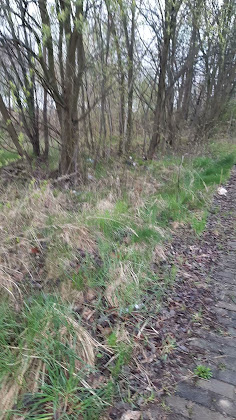 Vidéos hôtels GR Hotel by WMM Hotels 02828 Görlitz