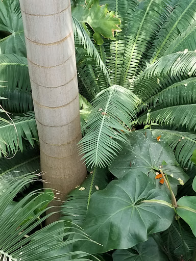 Botanical Garden «White River Gardens», reviews and photos, 1200 W Washington St, Indianapolis, IN 46222, USA