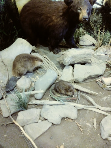 Nature Preserve «Benjamin Olewine III Nature Center», reviews and photos, 100 Wildwood Way, Harrisburg, PA 17110, USA