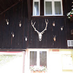 Photo n°4 de l'avis de Annett.a fait le 11/06/2022 à 18:39 sur le  Wasserberghaus à Bad Überkingen