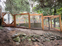 Zone 8 Construction & Landscaping Services - Photo 3 - Car repair in , Everett