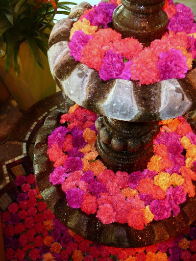 Florist «Pistils & Petals», reviews and photos, 1060 Alton Rd, Miami Beach, FL 33139, USA