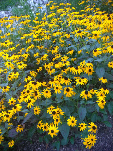 Park «Vailsburg Park», reviews and photos, 694-736 S Orange Ave, Newark, NJ 07106, USA