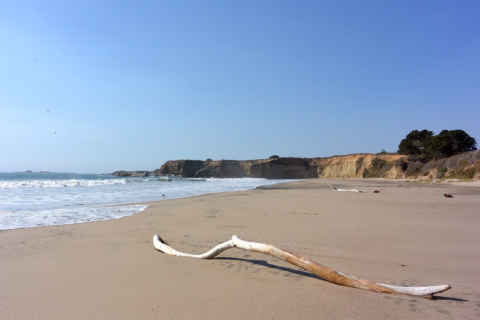 Foto van Cove Beach met een ruime kustlijn
