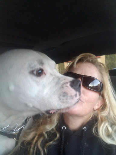 Pet Supply Store «Pet Foods Market & Supplies», reviews and photos, 1816 N Sepulveda Blvd, Manhattan Beach, CA 90266, USA