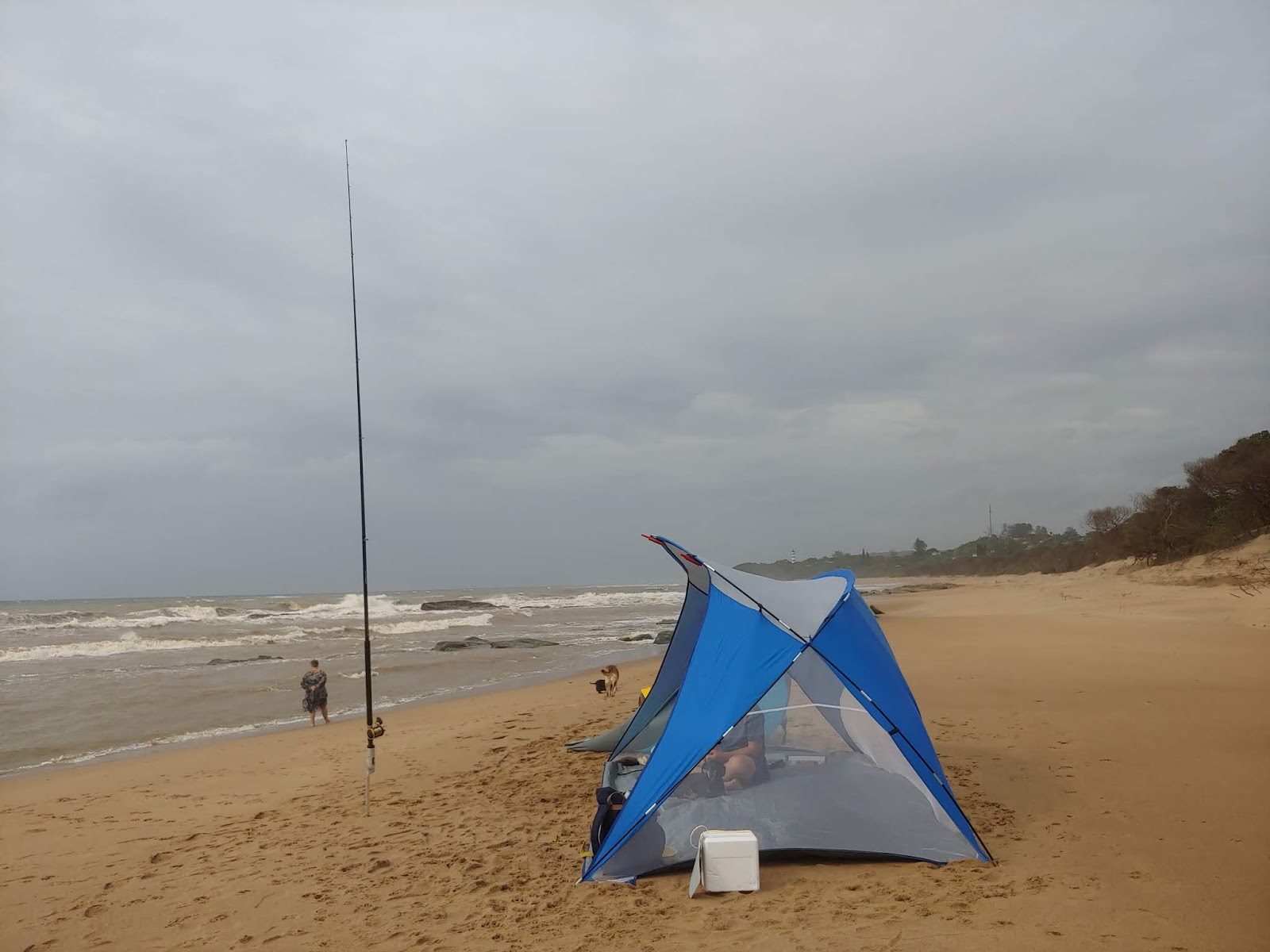 Φωτογραφία του Tugela beach ubicado en área natural