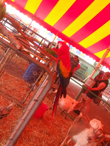 Supermarket «Supremo Food Market», reviews and photos, 900 Orthodox St, Philadelphia, PA 19124, USA