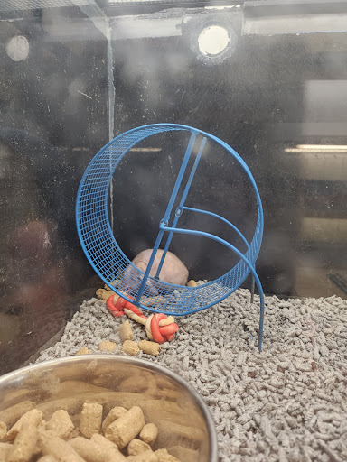 Pet Store «Pet World Warehouse Outlet», reviews and photos, 2984 S 108th St, Milwaukee, WI 53227, USA