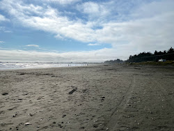 Crescent Beach'in fotoğrafı imkanlar alanı