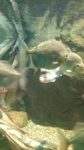 Museum «Tropical Discovery», reviews and photos, 2900 E 23rd Ave, Denver, CO 80205, USA