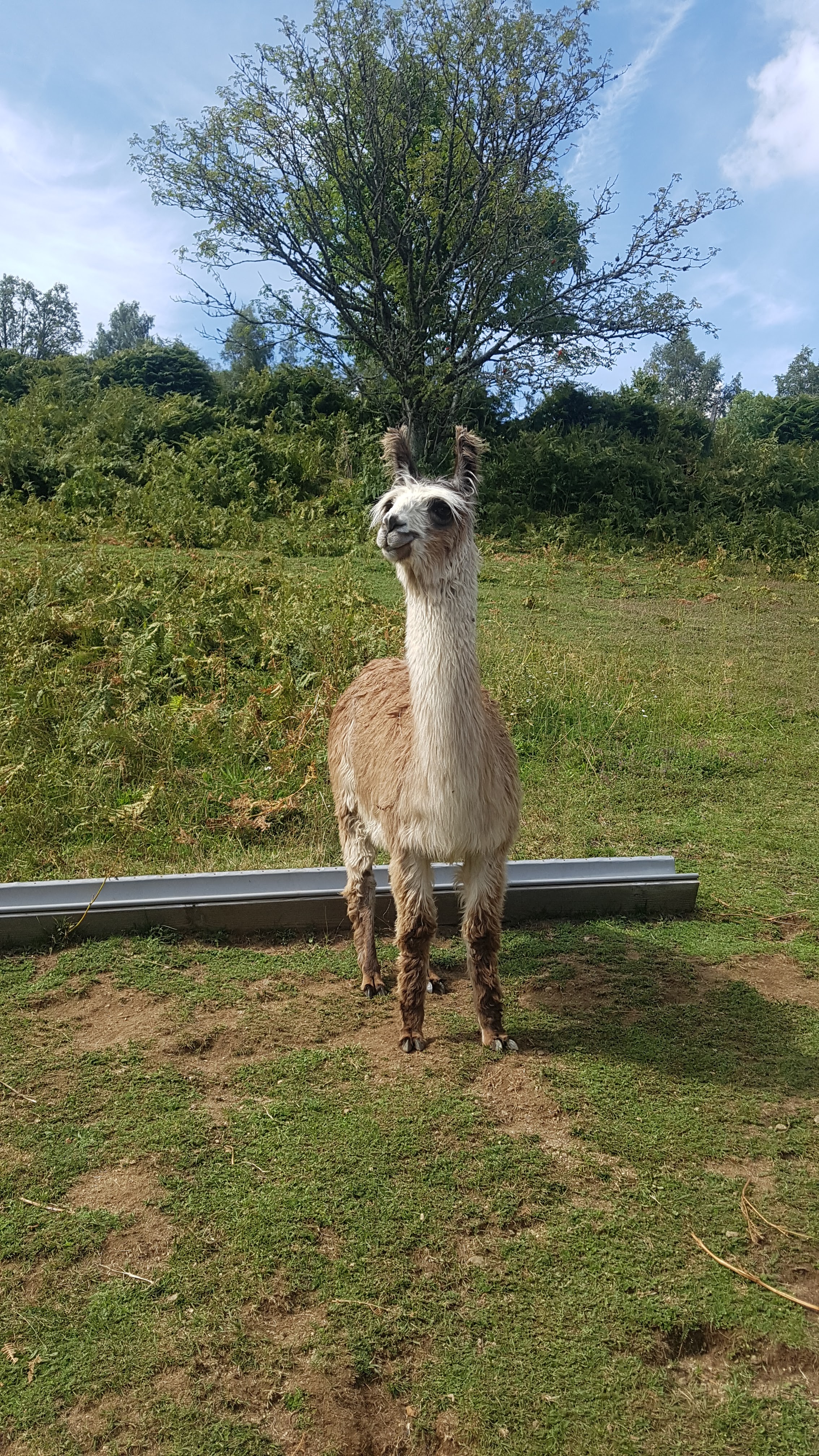 Photo n° 1 de l'avis de melanie_et.c fait le 13/08/2019 à 14:59