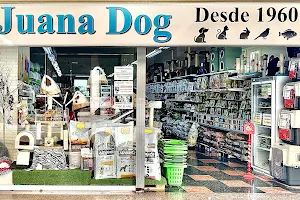 Juana Dog - Alcudia image