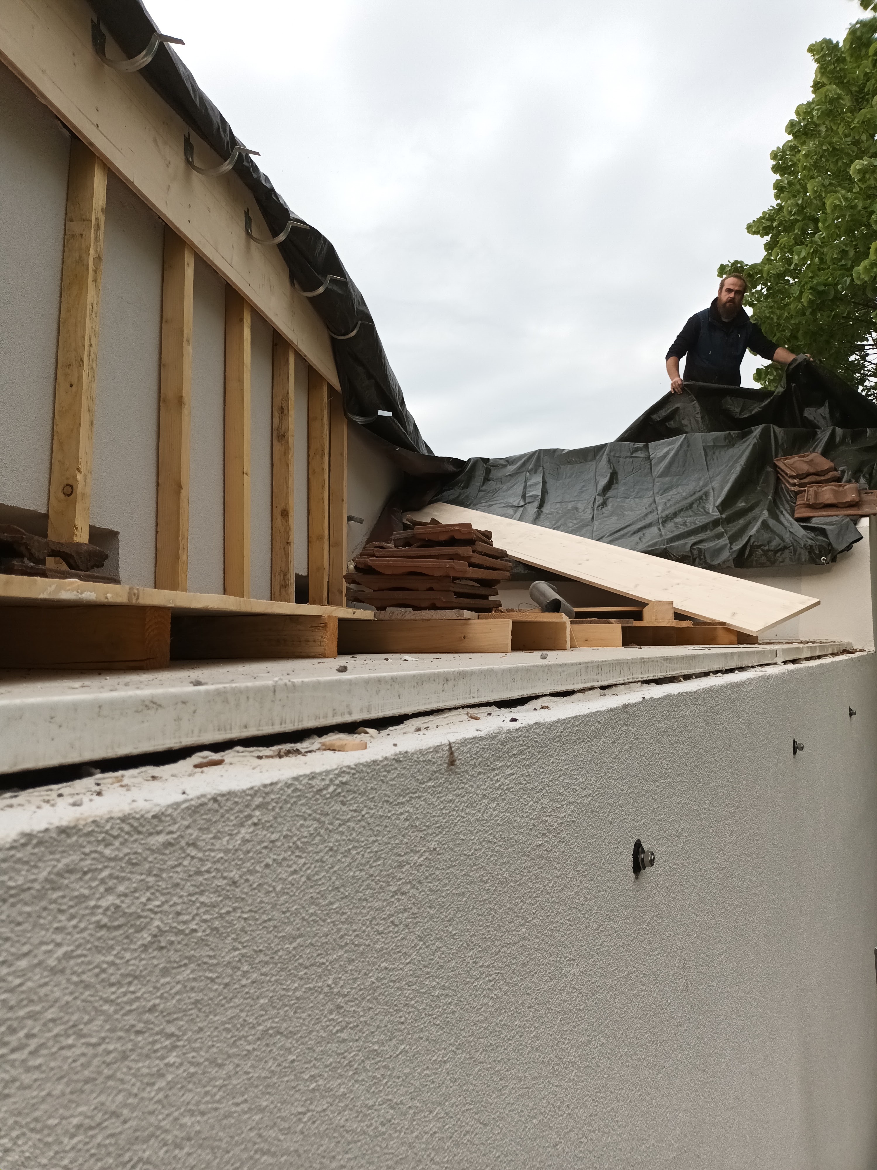 Photo n° 7 de l'avis de François.a fait le 16/06/2023 à 05:40