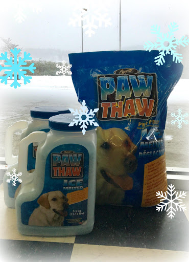 Pet Store «The Pet Place», reviews and photos, 240 Shadowline Dr, Boone, NC 28607, USA