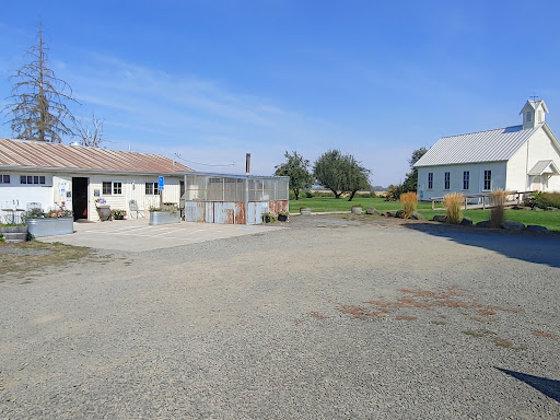 Bakery «Camas Country Bakery and Store», reviews and photos, 91948 Purkerson Rd, Junction City, OR 97448, USA