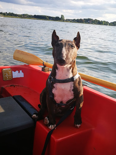 Dr.med.vet. Wolfgang Bethe Tierarzt unter Oranienburg, 