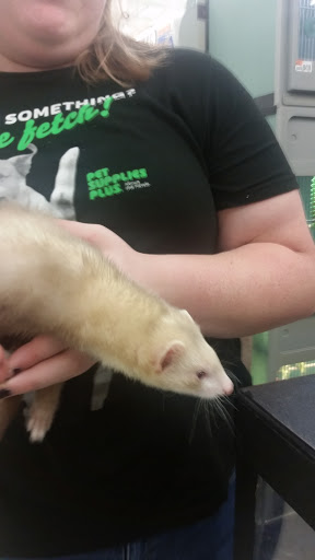 Pet Supply Store «Pet Supplies Plus», reviews and photos, 2201 US-281, Marble Falls, TX 78654, USA