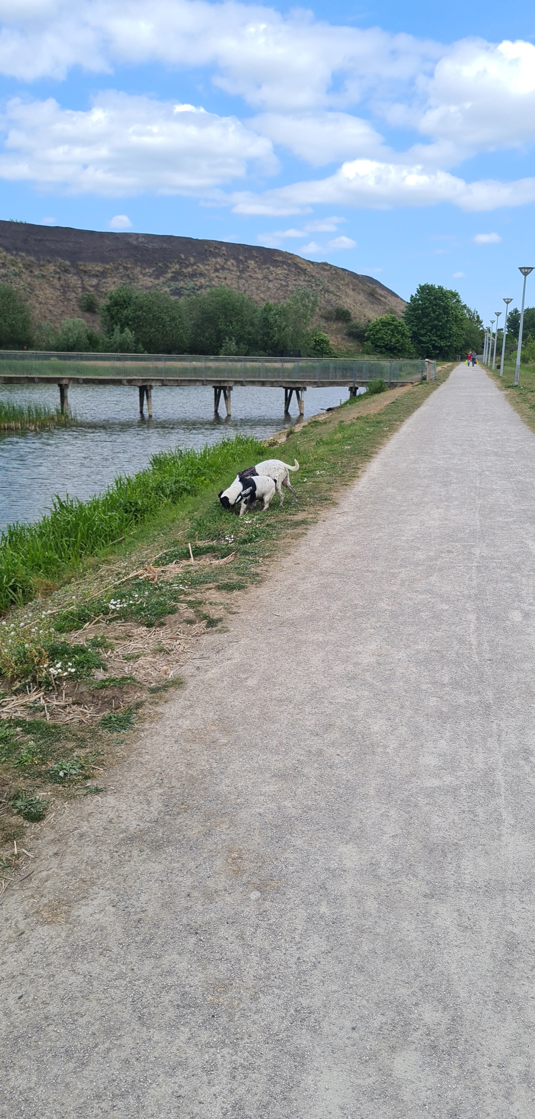 Photo n° 1 de l'avis de Alan.e fait le 24/06/2019 à 15:05