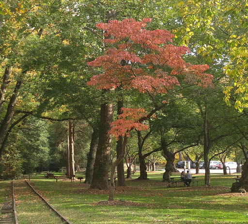 Zoo «Brandywine Zoo», reviews and photos, 1001 N Park Dr, Wilmington, DE 19802, USA