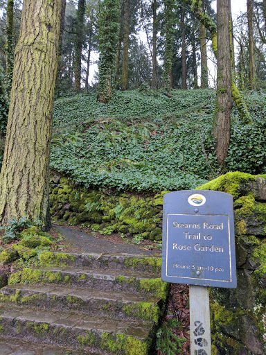 Running Store «Road Runner Sports», reviews and photos, 29 NW 23rd Pl, Portland, OR 97210, USA