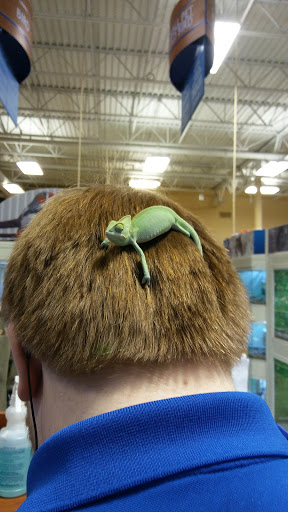 Pet Supply Store «PetSmart», reviews and photos, 1512 S Randall Rd, Geneva, IL 60134, USA