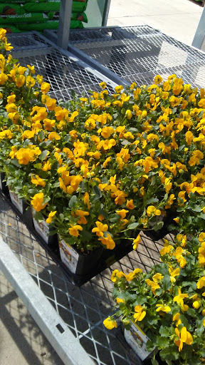 Home Improvement Store «The Home Depot», reviews and photos, 200 Hatton Dr, Glen Mills, PA 19342, USA