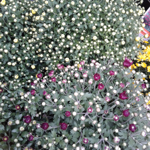 Home Improvement Store «The Home Depot», reviews and photos, 5410 Perkiomen Ave, Reading, PA 19606, USA