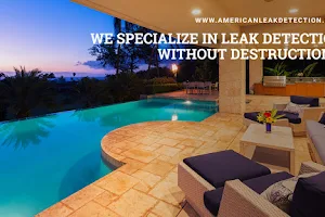American Leak Detection of Southwest Florida image