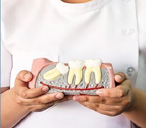 Hozzászólások és értékelések az Toldi Dental Fogorvosi Rendelők Szigethalom-ról