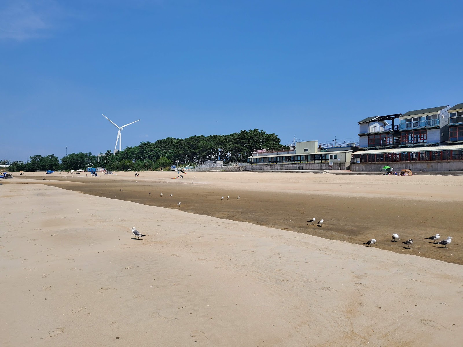Daebuduk Beach photo #8