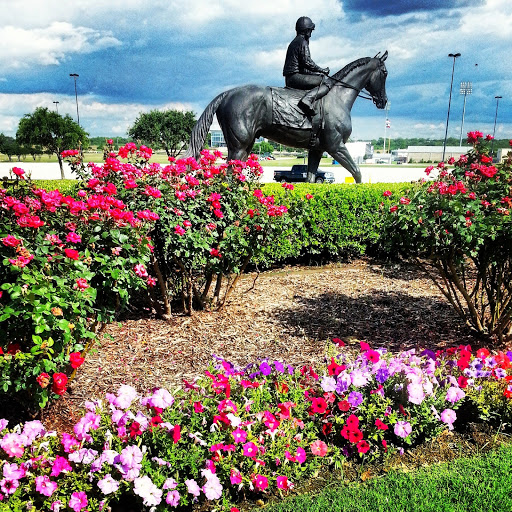 Car racing track Grand Prairie