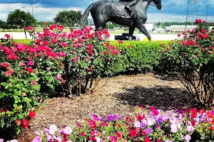 Lone Star Park image