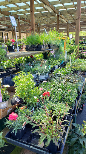 Garden Center «Sloat Garden Center», reviews and photos, 1555 Kirker Pass Rd, Concord, CA 94521, USA
